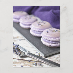 French Pastry Lavender Macaron Cookies Postcard
