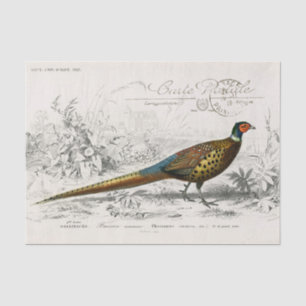 French Pheasant Bird Carte Postale Decoupage Vint Tissue Paper