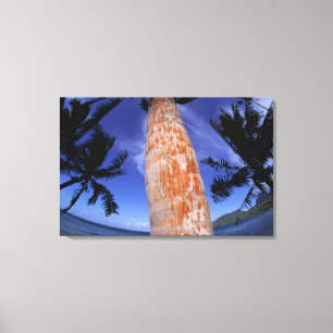 French Polynesia, Bora Bora, Palm trees Canvas Print