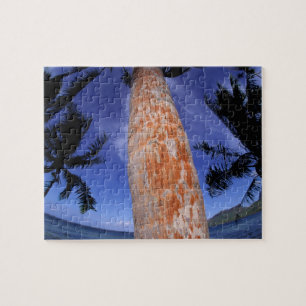French Polynesia, Bora Bora, Palm trees Jigsaw Puzzle