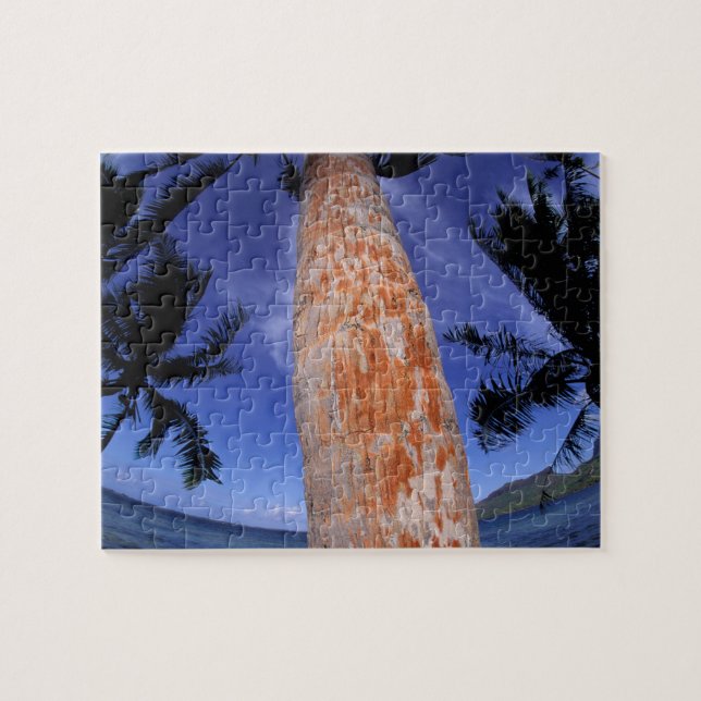 French Polynesia, Bora Bora, Palm trees Jigsaw Puzzle (Horizontal)