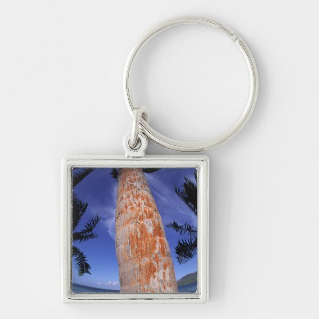 French Polynesia, Bora Bora, Palm trees Key Ring (Front)
