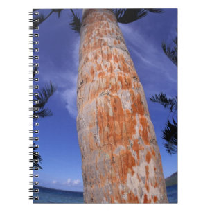 French Polynesia, Bora Bora, Palm trees Notebook