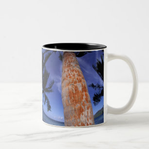 French Polynesia, Bora Bora, Palm trees Two-Tone Coffee Mug