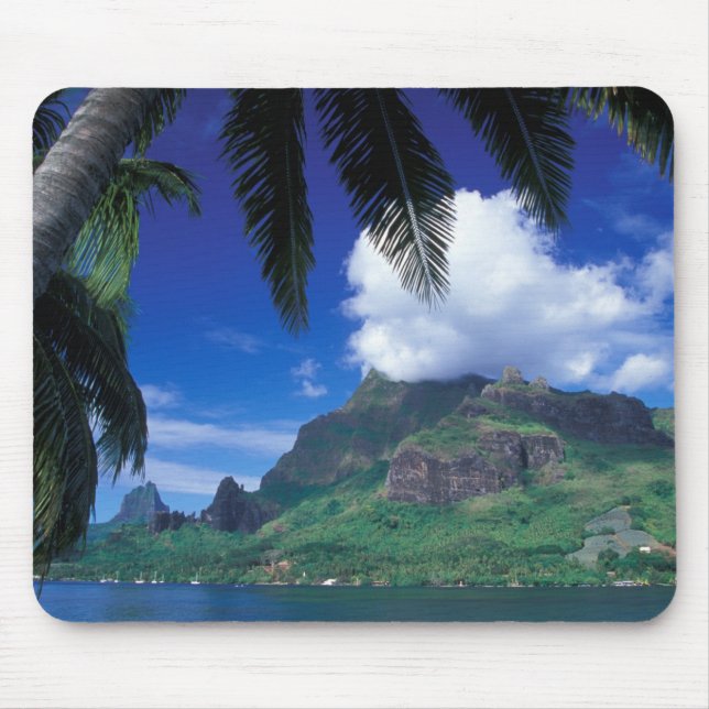 French Polynesia, Moorea. Cooks Bay. Green Mouse Mat (Front)