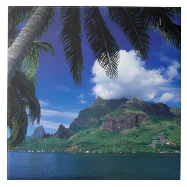 French Polynesia, Moorea. Cooks Bay. Green Tile (Front)