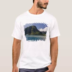 French Polynesia, Moorea. The Paul Gauguin T-Shirt