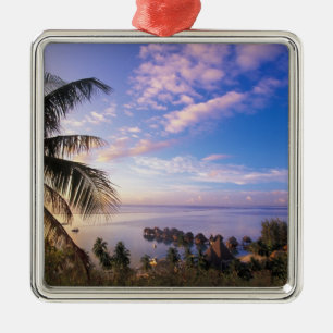 French Polynesia, Moorea. View of the Baie de Metal Tree Decoration