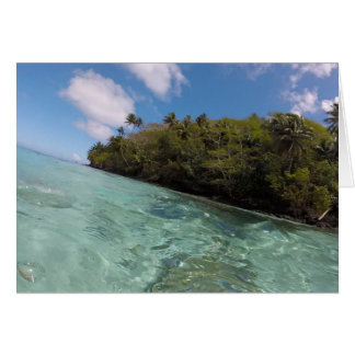 French Polynesia snorkel