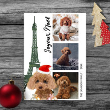 French Poodle Eiffel Tower Photo Paris Christmas