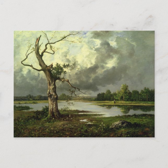 French River Landscape Postcard (Front)