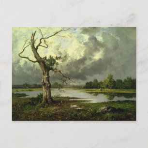 French River Landscape Postcard