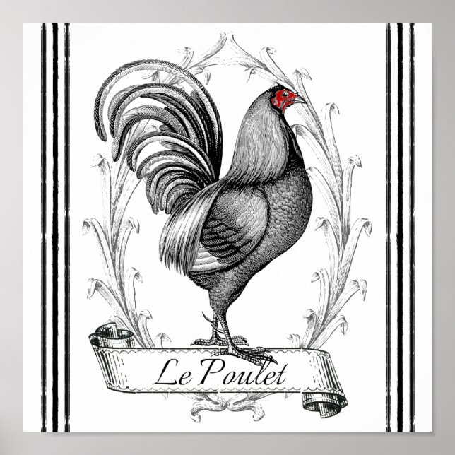 French Rooster Le Poulet Poster (Front)