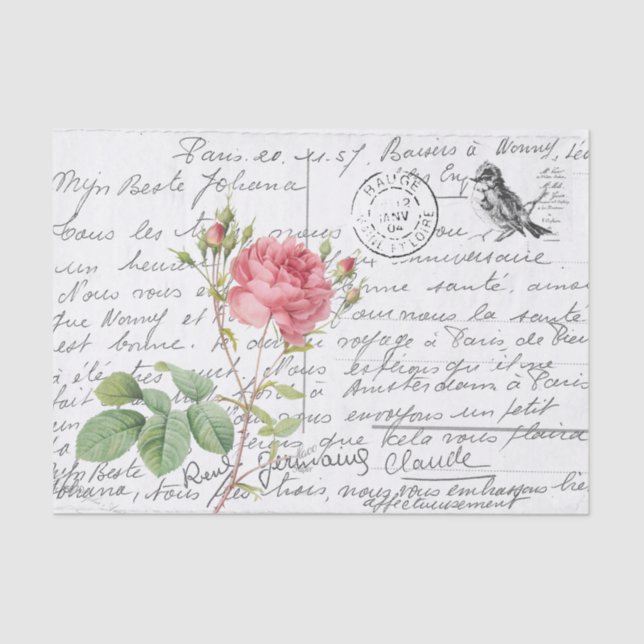 French Script Pink Cumberland Rose Bird Postcard Tissue Paper (Front)