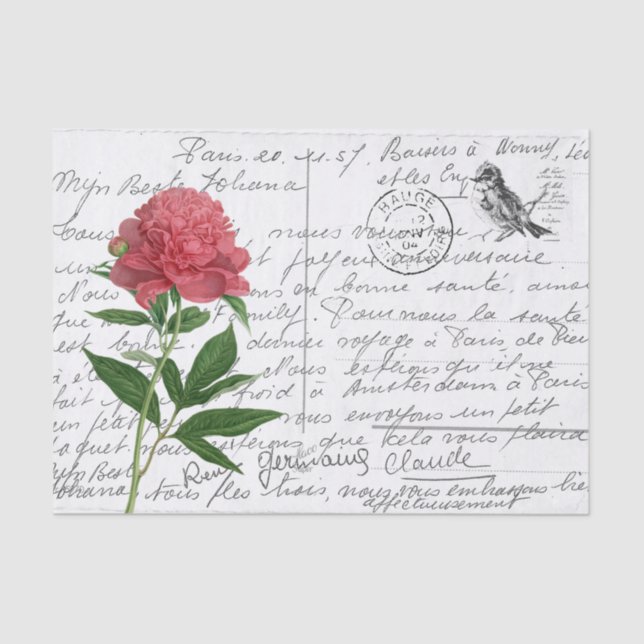 French Script Vintage Peony Bird Postcard Tissue Paper (Front)