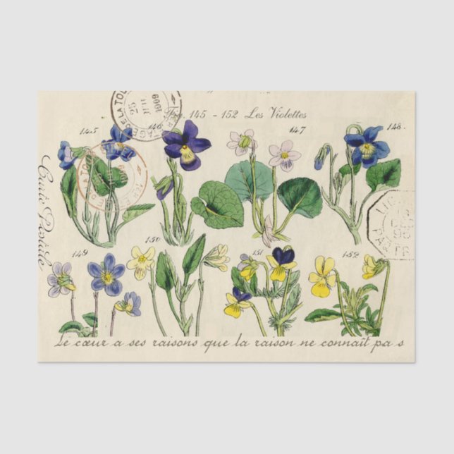 French Script Viola Flowers Vintage Postmark Tissue Paper (Front)