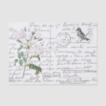 French Script White Rose Bird Vintage Postcard