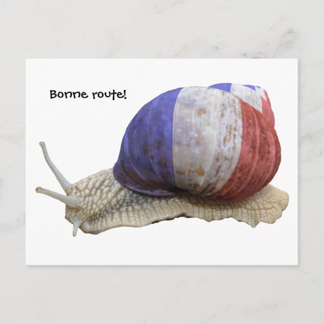 French snail, Bonne route! Postcard (Front)