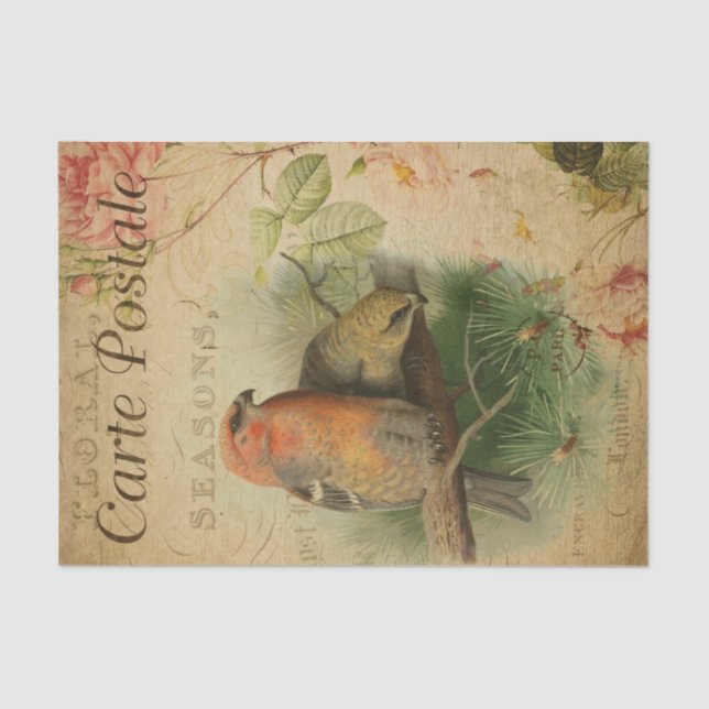 French Style Carte Postale Grosbeaks Tissue Paper (Front)