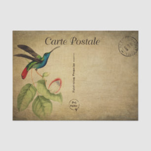 French Style Carte Postale Hummingbird Tissue Paper