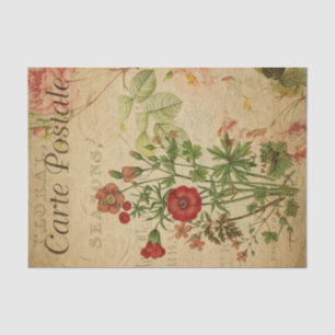 French Style Carte Postale Wildflowers Tissue Paper