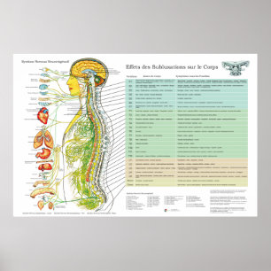 French Subluxation Spinal Nerves ANS Chart