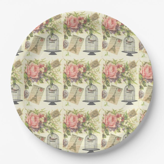 French Theme Vintage Paris Paper Plates (Front)