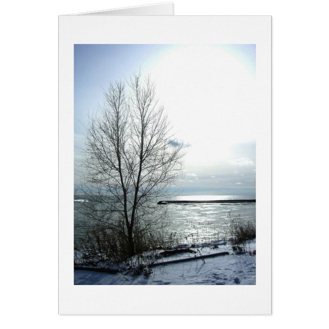 French-tous nos meilleurs voeux (Front)