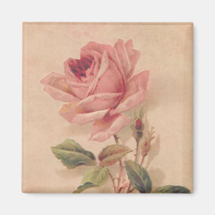 French Victorian Pink Rose Magnet