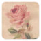 French Victorian Pink Rose