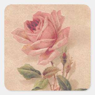 French Victorian Pink Rose Square Sticker