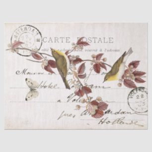 French Vintage Carte Postale Bird Butterfly Leaf   Tissue Paper