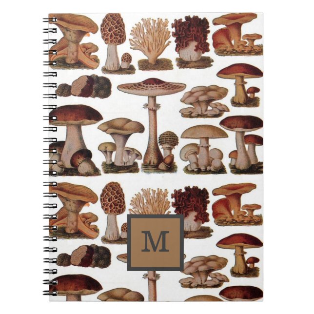 french vintage mushroom woodland botanical notebook (Front)