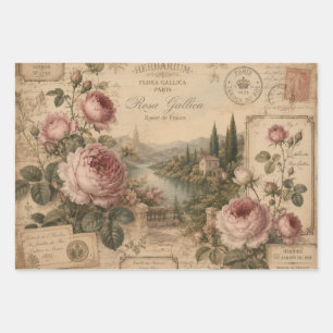 FRENCH VINTAGE ROSE HERBARIUM ANTIQUE BOTANICAL WRAPPING PAPER SHEET