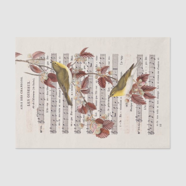 French Vintage Sheet Music Wren Birds Decoupage    (Front)