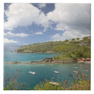 FRENCH WEST INDIES (FWI), Guadaloupe, Basse, Tile