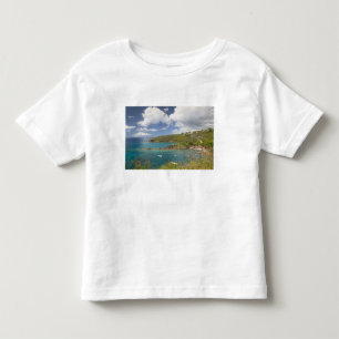 FRENCH WEST INDIES (FWI), Guadaloupe, Basse, Toddler T-Shirt