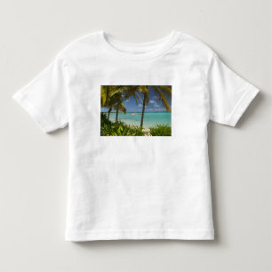 French West Indies, Guadaloupe, Grande Terre, 2 Toddler T-Shirt