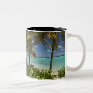 French West Indies, Guadaloupe, Grande Terre, 2 Two-Tone Coffee Mug