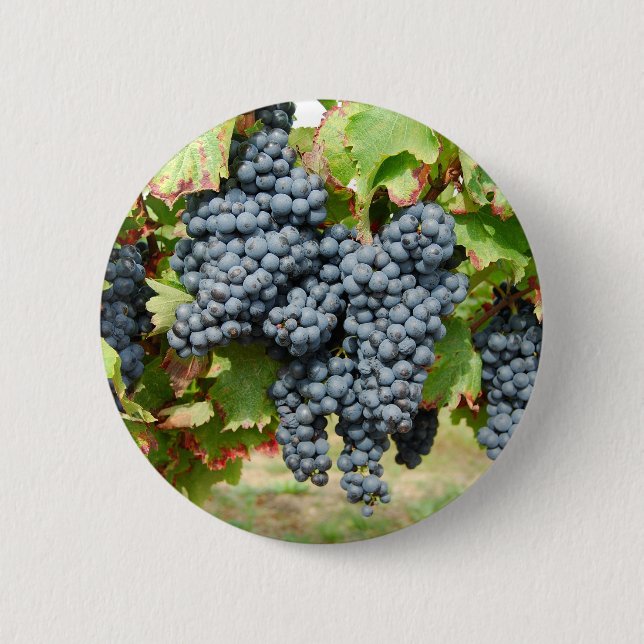 French Wine Grapes 6 Cm Round Badge (Front)