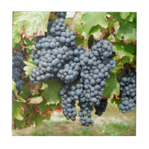 French Wine Grapes Tile