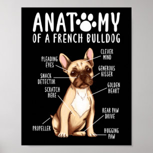 Frenchie  Anatomy Of A French Bulldog  Mum Dad Poster