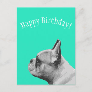 Frenchie   Aqua coloured Happy Birthday Postcard