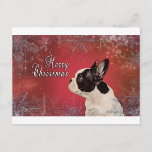 Frenchie Christmas card