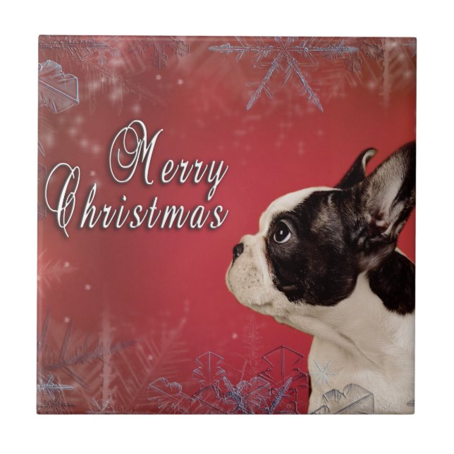 Frenchie Christmas card Tile (Front)