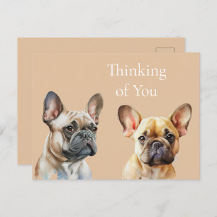 Frenchie Dogs Thinking of you Postcard