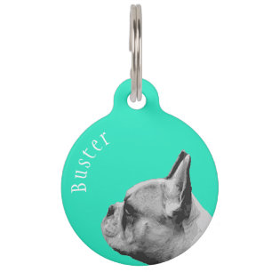 Frenchie   French Bulldog   Personalised Aqua Pet Tag