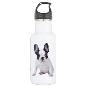 Frenchie - French bulldog puppy 532 Ml Water Bottle