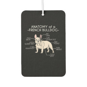 Frenchie Gift Anatomy Of A French Bulldog Car Air Freshener