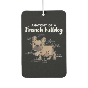 Frenchie Gift   Anatomy Of A French Bulldog Gift Car Air Freshener